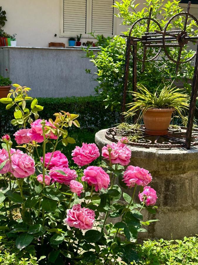 Js House Shkoder 1 Apartment Luaran gambar